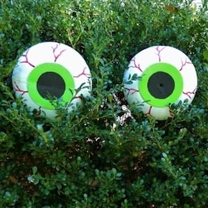 Spooky Pumpkin Pail Eyes in the bushes