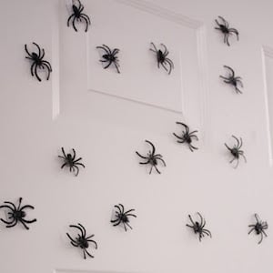 Magnetic Spiders