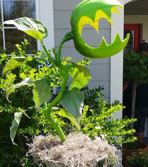 Man Eating Plant Monster for front yard