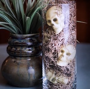 Vase of Skulls and moss