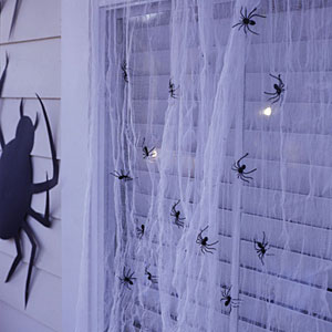 Eerie Cobwebs and spiders