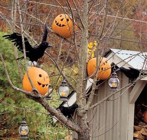 jack o lanterns in tree with faux crows 