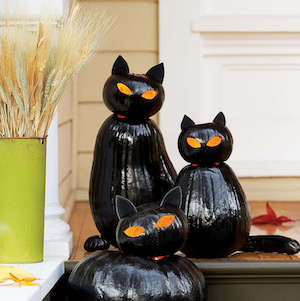 Black Cat Painted Pumpkins