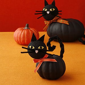 Black Cat Pumpkin Decorations