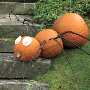 No Carve Giant Pumpkin Spider