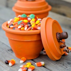 halloween Terracotta Pumpkin craft