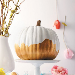 Dye Dipped painted Pumpkin