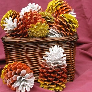 Spray Paint Candy Corn Pine Cones 