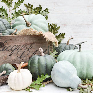 Chalk Drybrushed Squashes and Pumpkins