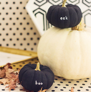 boo mini pumpkins