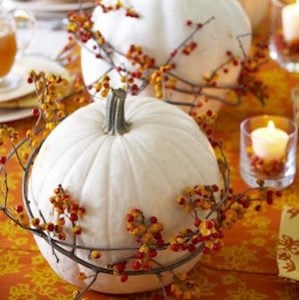 Bittersweet Berry Vine Pumpkins