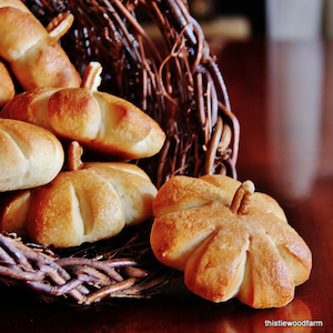 easy Pumpkin Rolls