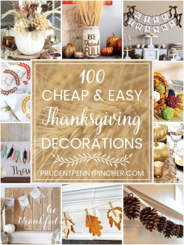 100 Cheap and Easy DIY Thanksgiving Decorations