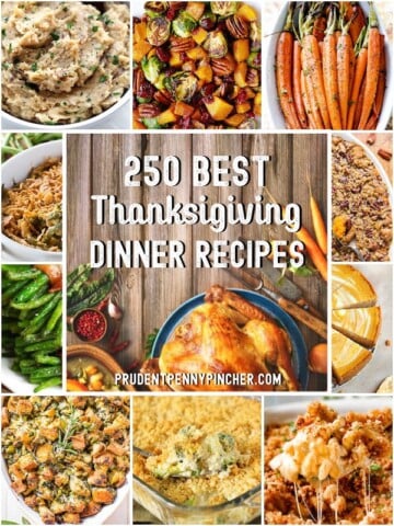 250 Best Thanksgiving Dinner Recipes