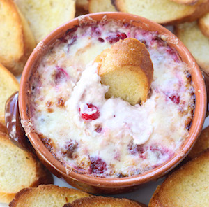 White Cheddar and Cranberry Dip  Christmas appetizer