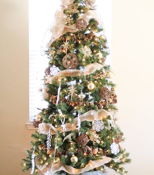 Inauguración del árbol de Navidad 