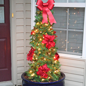 Árbol de Navidad en Jaula de Tomate