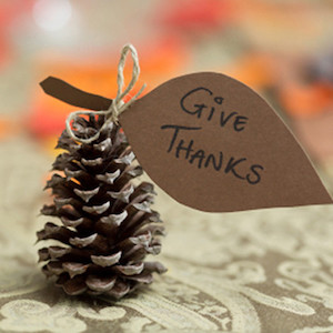 Thanksgiving Thankful Pine Cone Decorations