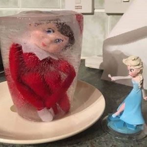 Elsa freezes elf