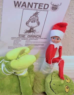 funny elf on the shelf and grinch  Elf on the shelf, Awesome elf