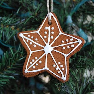 Heavenly Scented Iced Cinnamon Ornaments