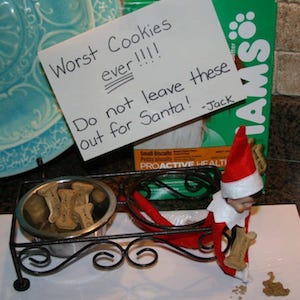 elf eating dog treats 