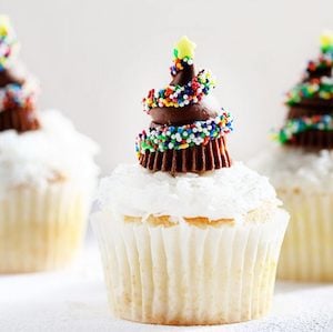 Chocolate Christmas Tree Cupcakes