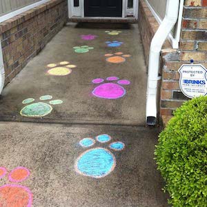 Chalk drawn Bunny Paw Prints on the Walkway 