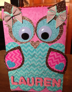 Glittery Owl Valentine's Day Box