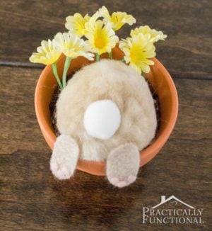 Curious Easter Bunny Flower Pot craft for adults