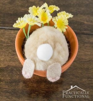 Curious Bunny upside down in flower pot