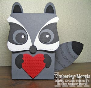 Raccoon Top Note Valentine Box