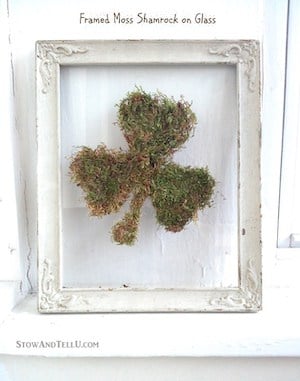 framed moss shamrock picture frame