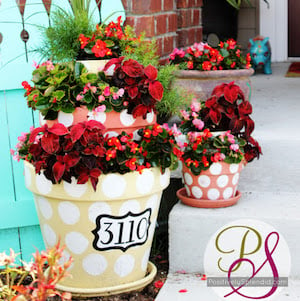Polka Dotted Tiered Pots filled with flowers
