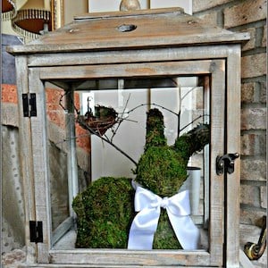 Moss Covered Bunny in Lantern
