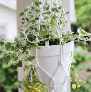 easy Hanging Planters