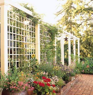 Lattice Patio Privacy Screen on a Budget