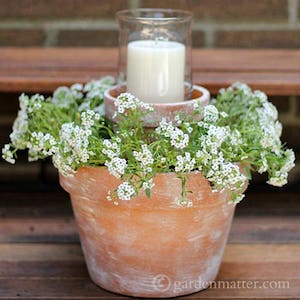 DIY Flower Pot dollar tree Centerpiece