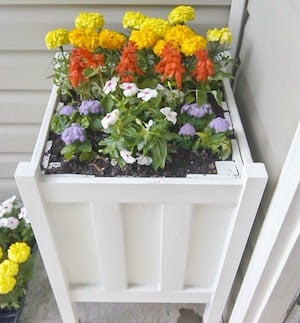 DIY $8 patio Planter decor idea