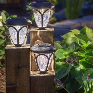 Cedar Cube Landscape Lighting