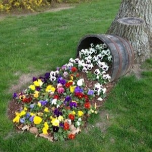 Maceta de flores de barril de vino desbordante para bordillo de jardín delantero