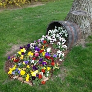 Overflowing Wine Barrel Planter