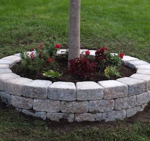 Muro de contención con cama de flores alrededor de un árbol