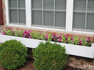 Macetero de caja de ventana de bricolaje con flores