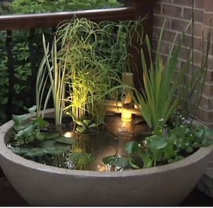 Easy Water Garden decor for the patio