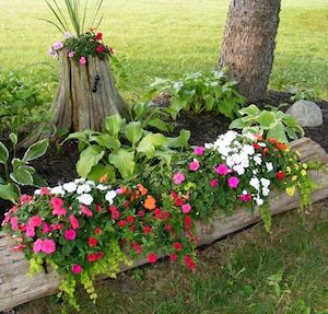 Tree Stump flower garden Idea