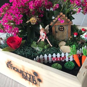 Wood Box fairy Gardening