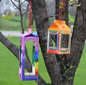 milk jug Birdhouse summer Craft for kids