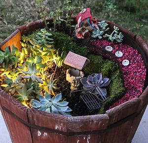 Succulent Gardens