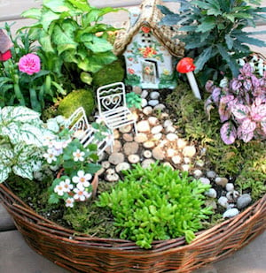 Wicker Basket Fairy Garden